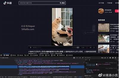 抖音官方教程：快速上手视频制作与发布技巧指南